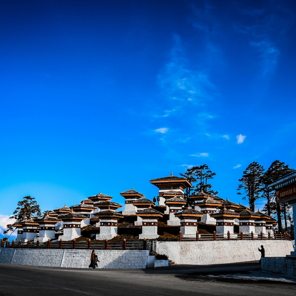 Untitled design (62)